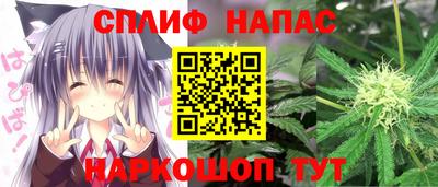 прущие грибы Апшеронск