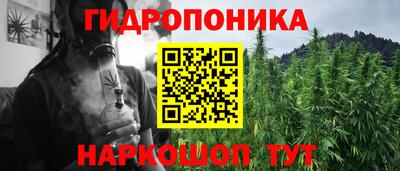 прущие грибы Апшеронск
