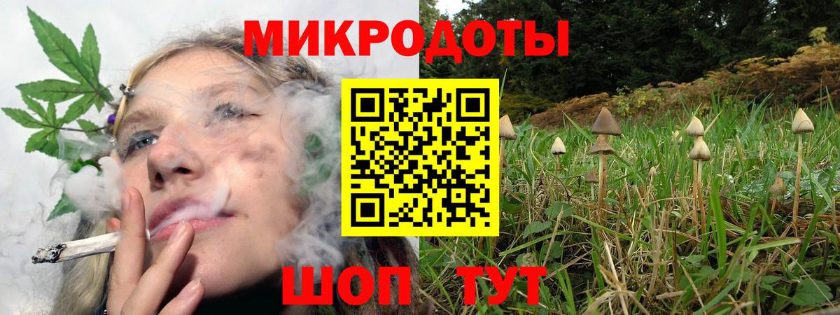 Верхняя Пышма  Псилоцибиновые грибы ЛСД  Псилоцибиновые грибы Magic Shrooms  где продают   Вход с VPN 