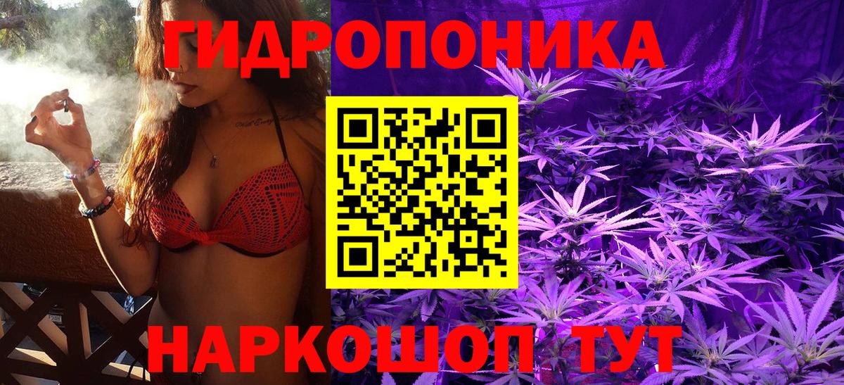 Конопля AK-47  Канабис сатива  Бошки Шишки SATIVA & INDICA  Верхняя Пышма  Вход с VPN 